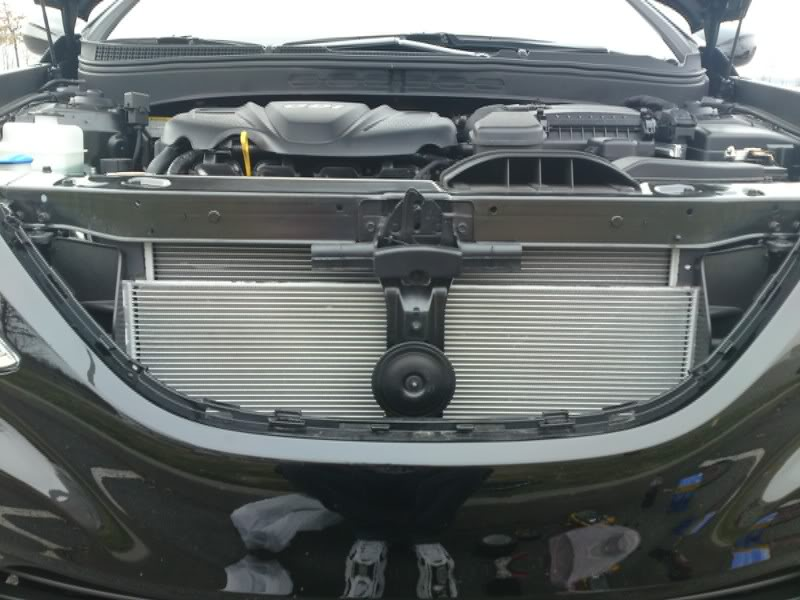 Illustration for article titled New Hyundai Sonata Plagued By Flaccid Horn